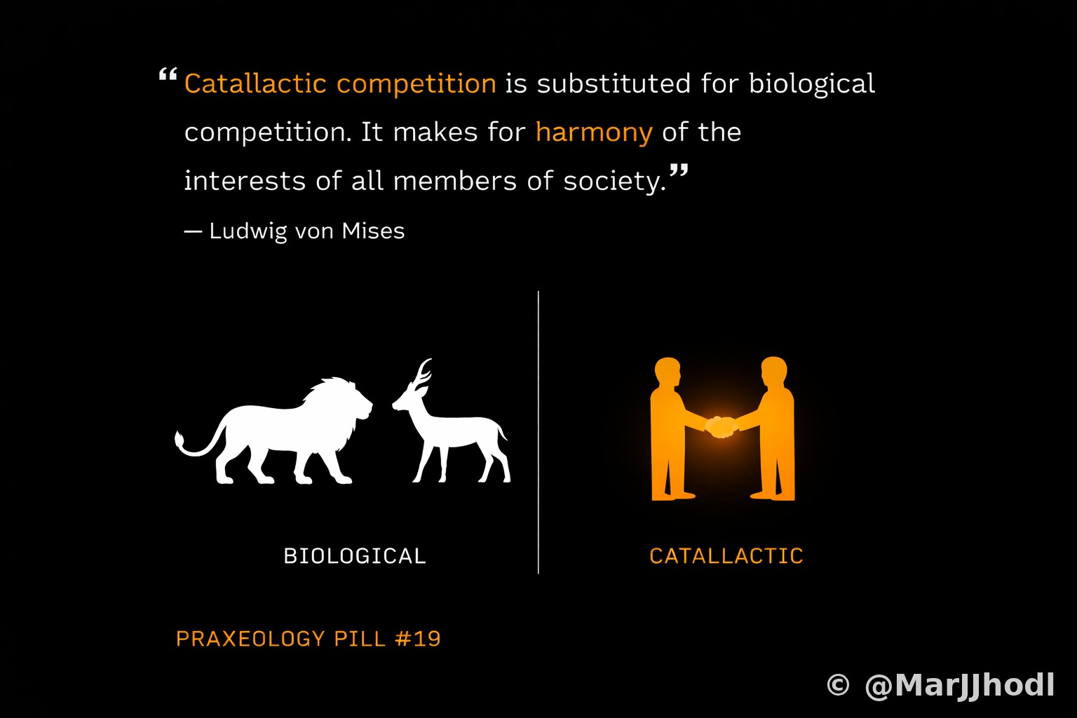 Pill #19 - Catallactic Competition